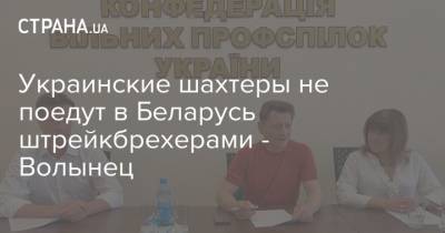 Украинские шахтеры не поедут в Беларусь штрейкбрехерами - Волынец