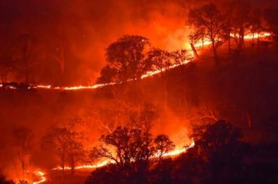 В Калифорнии продолжаются лесные пожары: Власти штата обратились за помощью к Канаде и Австралии