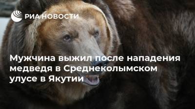 Мужчина выжил после нападения медведя в Среднеколымском улусе в Якутии