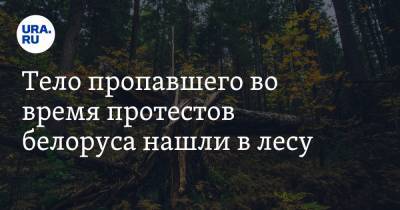 Тело пропавшего во время протестов белоруса нашли в лесу
