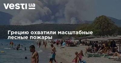 Грецию охватили масштабные лесные пожары