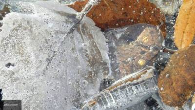 Синоптик Вильфанд предупредил о морозах в некоторых регионах РФ