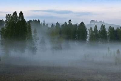 В Оренбургской области ожидаются туман и заморозки