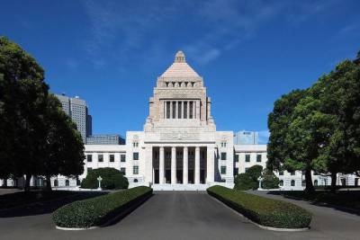 В Японии намерены перевести на «удаленку» верхнюю палату парламента