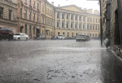 В Петербурге 23 августа ожидаются дожди и сильный ветер