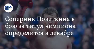 Соперник Поветкина в бою за титул чемпиона определится в декабре