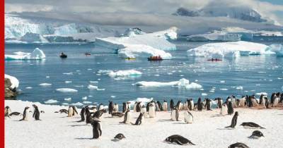 В Антарктиде открыли уникальный кинотеатр