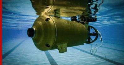 В России создали новый аппарат для боевых пловцов: видео
