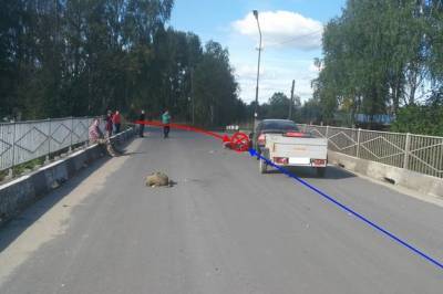 В Прилузском районе погиб водитель мопеда