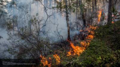 Почти 120 тысяч жителей эвакуированы из-за лесных пожаров в Калифорнии