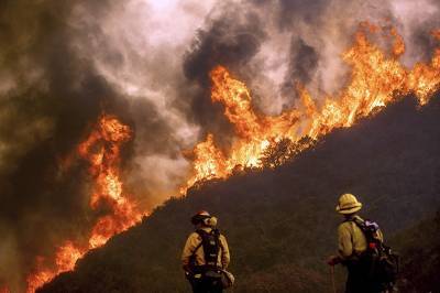 Огненный ад: Калифорния охвачена лесными пожарами (видео)