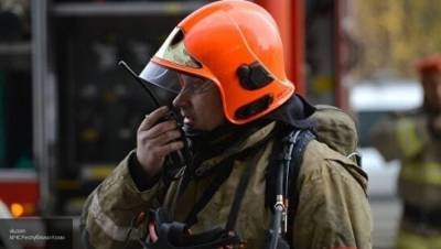 Спасатели ликвидировали крупное возгорание на горе Колдун в Новороссийске