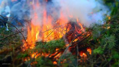 Новороссийским спасателям удалось потушить крупный пожар на горе Колдун