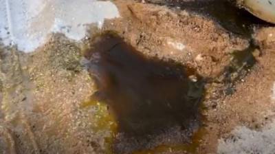 Видео: из свежих могил в Иерусалиме полилось смрадное масло