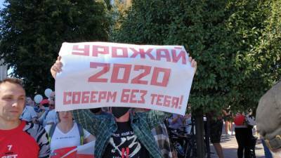 В мире проходят акции солидарности с протестующими в Белоруссии