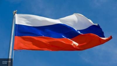 Против выбросившего в урну флаг РФ петербуржца возбудили уголовное дело