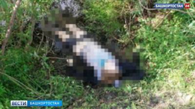 Дети убили восьмилетнюю девочку и спрятали тело в реке