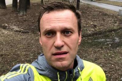Политолог заявил об атмосфере гражданской войны из-за отравления Навального