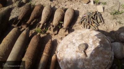 Порядка 200 боеприпасов нашли за сутки в Калининградской области