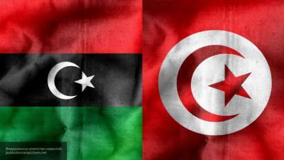 Глава Высшего совета шейхов считает ответственной за кризис в Ливии Турцию