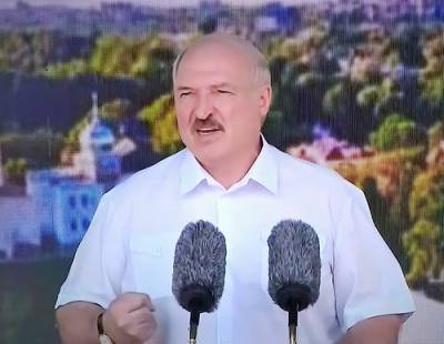 Лукашенко об участниках акции протеста: "Как крысы разбежались"