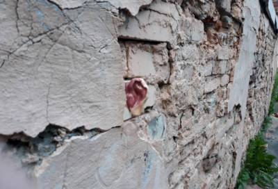 Петербуржцы обнаружили уши у стен дома на Васильевском острове