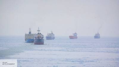 Россия перевезет тысячи тонн груза по Северному морскому пути в 2020 году