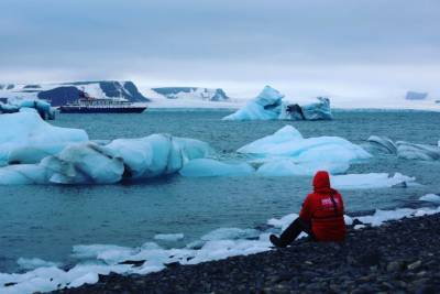 Россия приобрела новые земли в Арктике: Группа школьников открыла ранее неизвестный остров