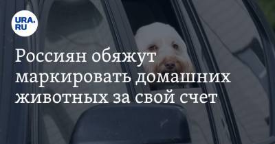 Россиян обяжут маркировать домашних животных за свой счет