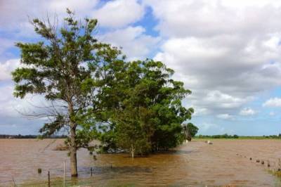 Затопленное село в Хабаровском крае освободилось от воды