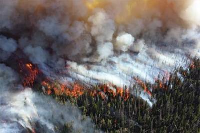В Сибири вновь бушуют лесные пожары