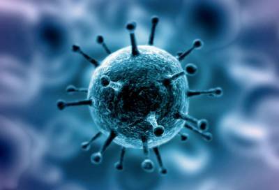 Специалисты не смогли точно определить источник возникновения коронавируса