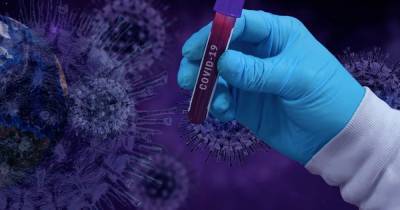 Ученые не смогли определить источник коронавируса