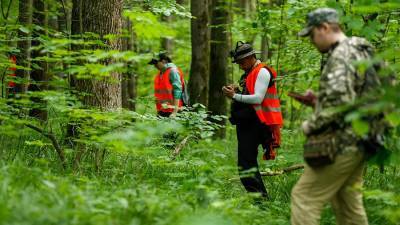 В МЧС назвали категорию наиболее часто пропадающих в лесу граждан