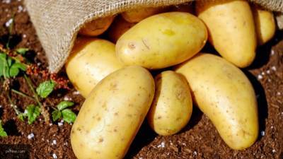 Ирина Лизун - Диетолог поделилась рецептом блюда из безвредного и диетического картофеля - nation-news.ru