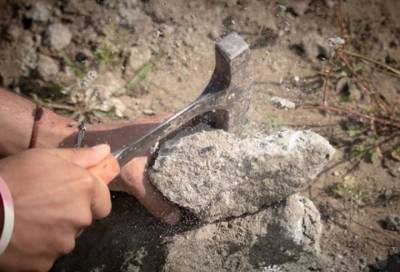 Палеонтологи из Петербурга рассказали о поиске первых саламандр