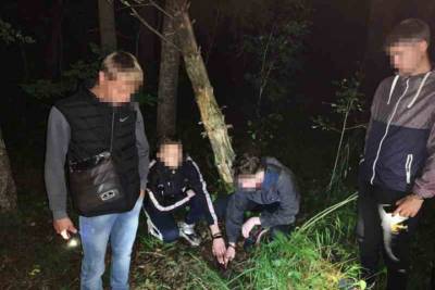 Двух юных ярославцев задержали в Новгородской области с 3 килограммами наркотиков