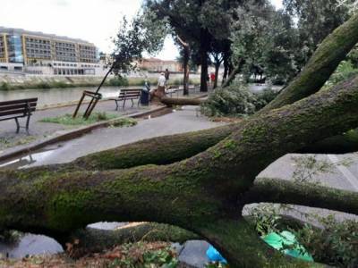 Сотни поваленных деревьев, затопленные улицы городов: В Италии подсчитывают ущерб из-за ливней