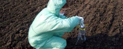 В почве пригорода Якутска обнаружили опасные микроорганизмы