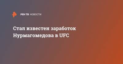 Стал известен заработок Нурмагомедова в UFC