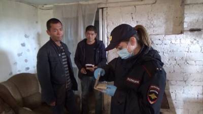 В Челябинской области владельцев теплиц оштрафуют за антисанитарию