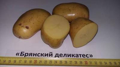 Картофель Брянский деликатес