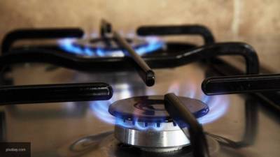 "Единая Россия" предложила возложить траты на газификацию на "Газпром"