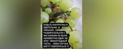 Женщину в Казани укусил скорпион, он вылез из купленного винограда