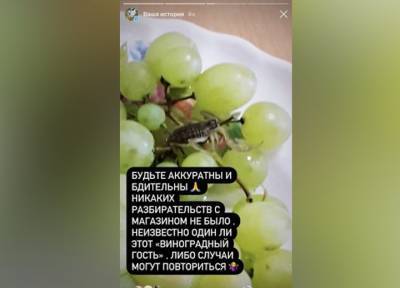 Жительницу Казани ужалил скорпион, который спрятался в купленном для детей винограде