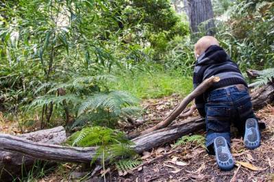 В воронежском парке потерялся 2-летний мальчик