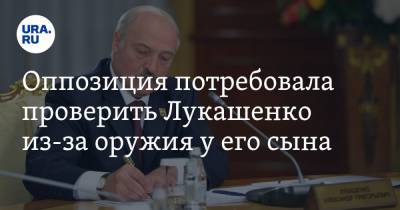 Оппозиция потребовала проверить Лукашенко из-за оружия у его сына