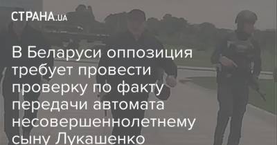 В Беларуси оппозиция требует провести проверку по факту передачи автомата несовершеннолетнему сыну Лукашенко