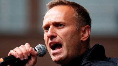 В Германии высказались о возможном отравлении Навального