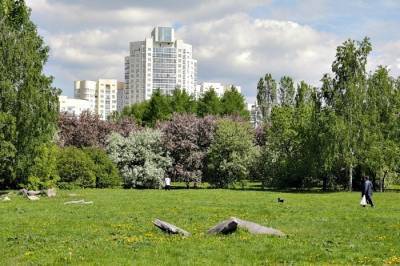 Эксперты обсудят проекты обустройства парка Чкалова в Екатеринбурге